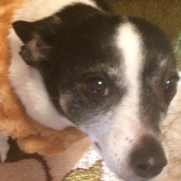 Meet your Posher, Joan - Picture 1 of 1